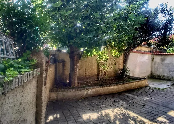 アパート In Tranquillo Borgo Vicino Al Centro トリノ